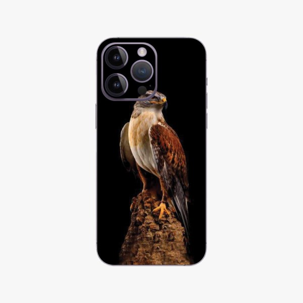 ALPHA SKİN YENI KOLLEKSIYA 000466