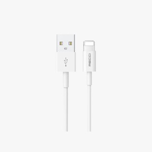 RECCI RTC-P05L 2.4A ...